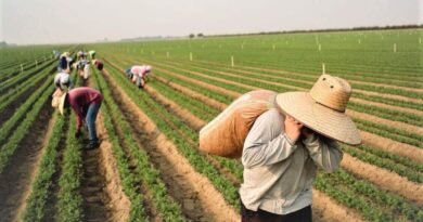 Farm Worker Jobs In Canada